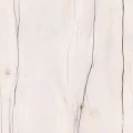 Таксония светлая
