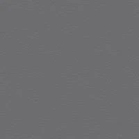 P2 EUROLINE 996 железно-серый